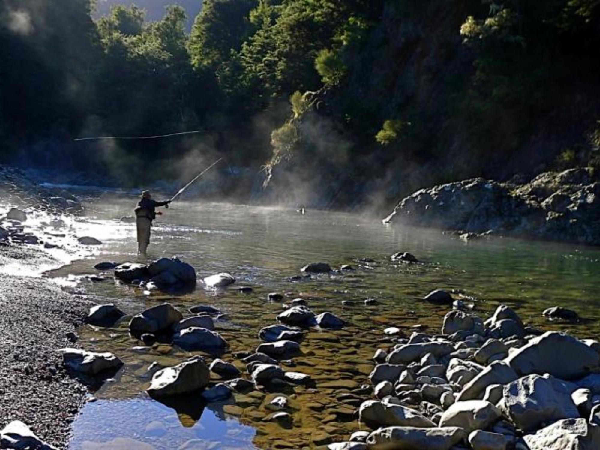 טוראנגי River Birches מראה חיצוני תמונה